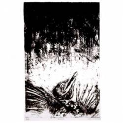 Asva : Presences of Absences